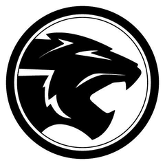 Proton e.MAS logo